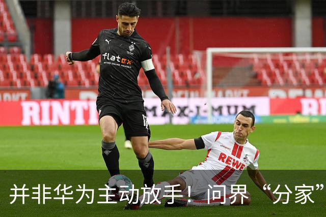 并非华为主动放手！问界“分家”真相，车主却在大批量退订