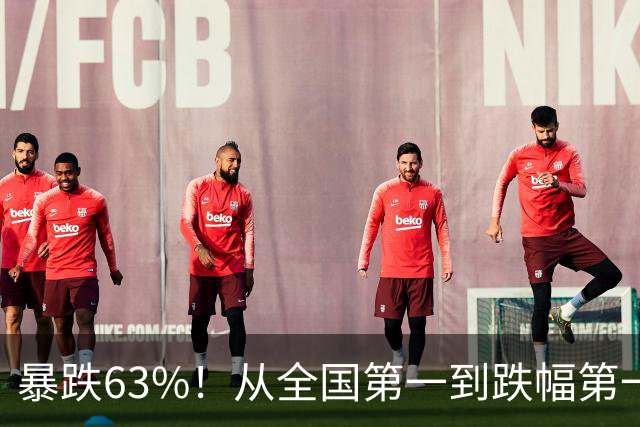 暴跌63%！从全国第一到跌幅第一，民营经济第一城都经历了什么？